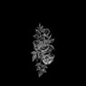 Meet your Posher, Ruby